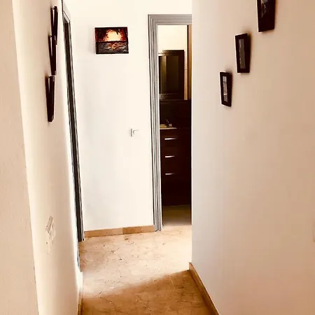 Apartment Grand Lumineux A 150m De La *